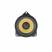 Focal IS BMW100K