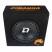DL Audio Piranha 8A