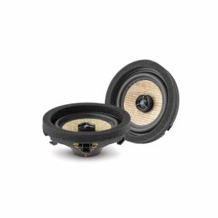 Focal IC MBZ100 V2