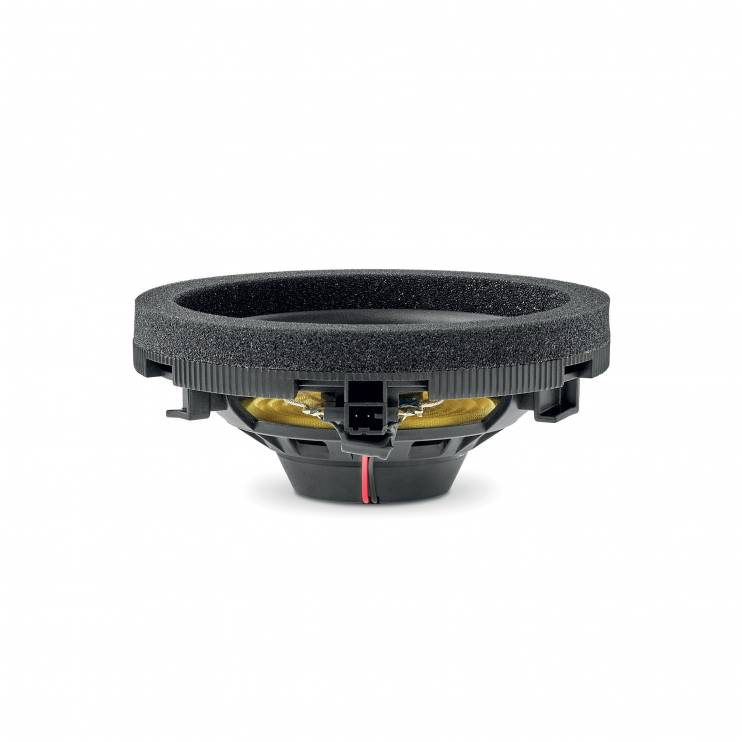 Focal IC MBZ100 V2